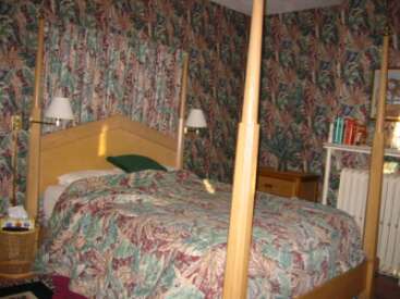 safari_room