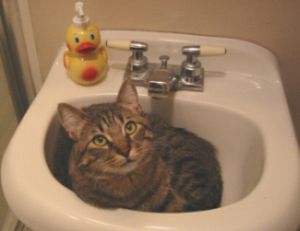 big_foot_sink